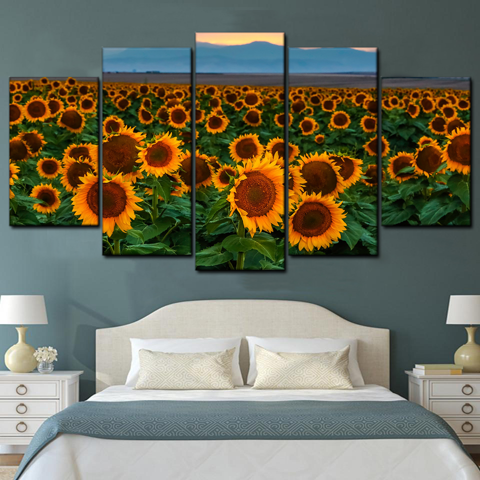 sunflower field sunset colorado 5 pices peinture sur toile impression sur toile toile art pour la dcoration intrieure4b76s