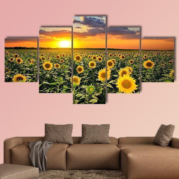 champ de tournesols en fleurs naturefield of blooming sunflowers nature 5 pices peinture sur toile impression sur toile toile art4oz4c